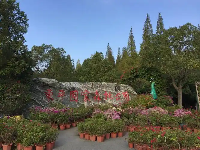 2018年11月13日崇明东平国家森林公园留影