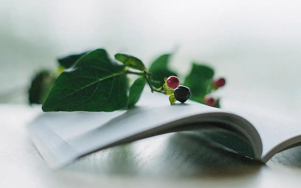 小清新简约风景图片桌面壁纸