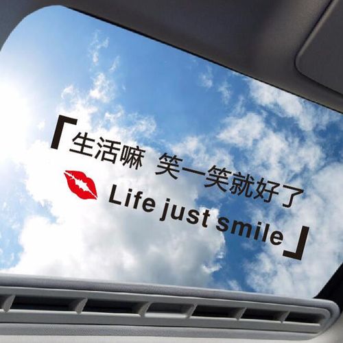 点缤 生活嘛笑一笑就好了天窗车贴个性文字车门贴创意汽车贴纸外观