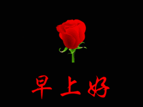 295_221gif 动态图 动图