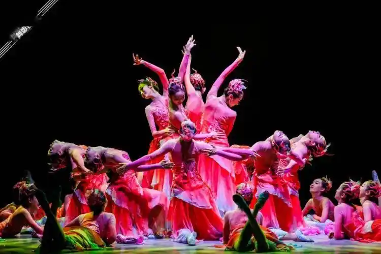 精彩回顾丨cefa第二届"芳华杯"艺术职业教育舞蹈教学成果展演-群舞