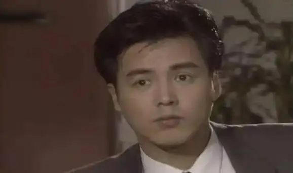 林瑞阳成为广告界的宠儿,随后出演了《无名小子》,《一帘幽梦》等一