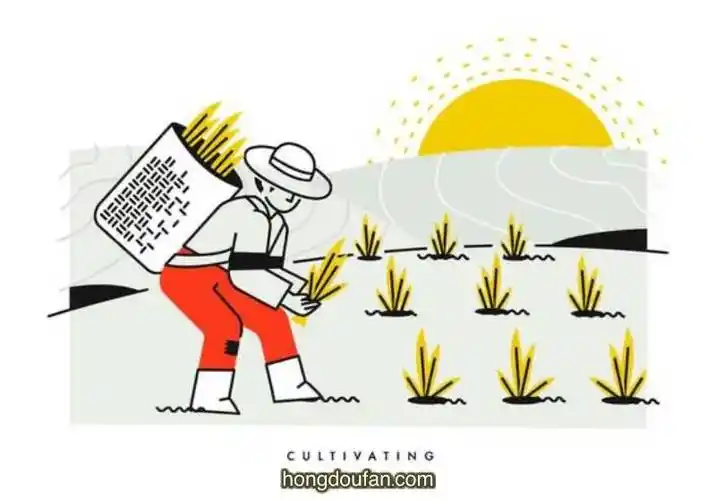 丰收的金色水稻田要如何画9张稻田简笔画大全