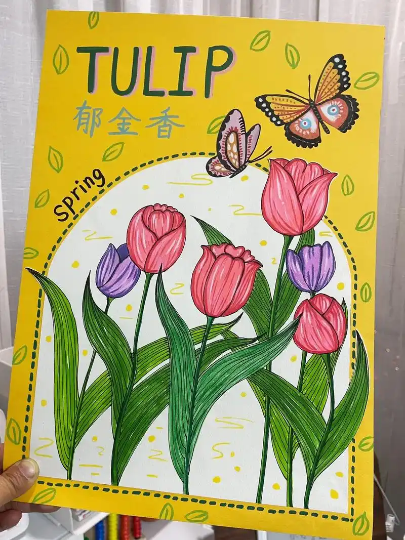 郁金香手抄报绘画教程.