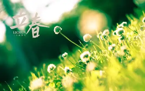 立春时节小清新文艺风背景图,节日合集-回车桌面