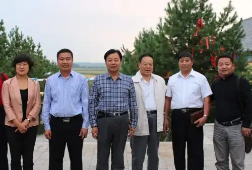 黑龙江省望奎县宋四是怎么死的