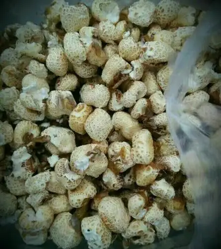 童年的记忆,老式爆米花