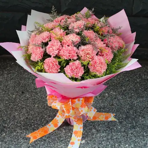 幸福绽放-33朵粉色康乃馨 花束