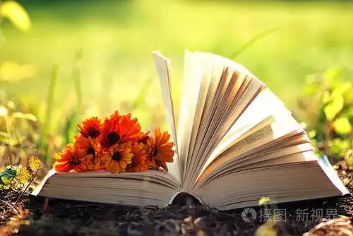 打开的书,与花在草地上