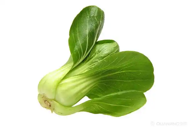 蔬菜图片_图片大全