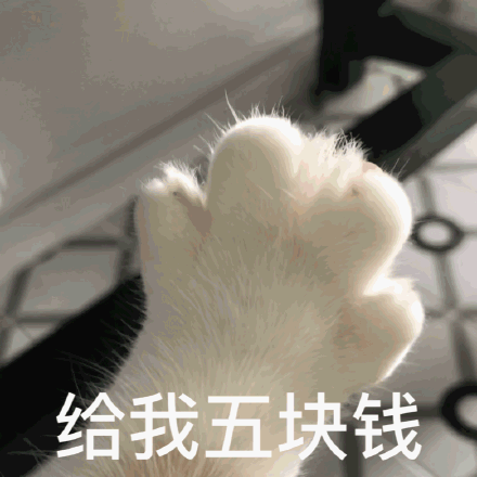 没表情就退群_表情包_斗图图片