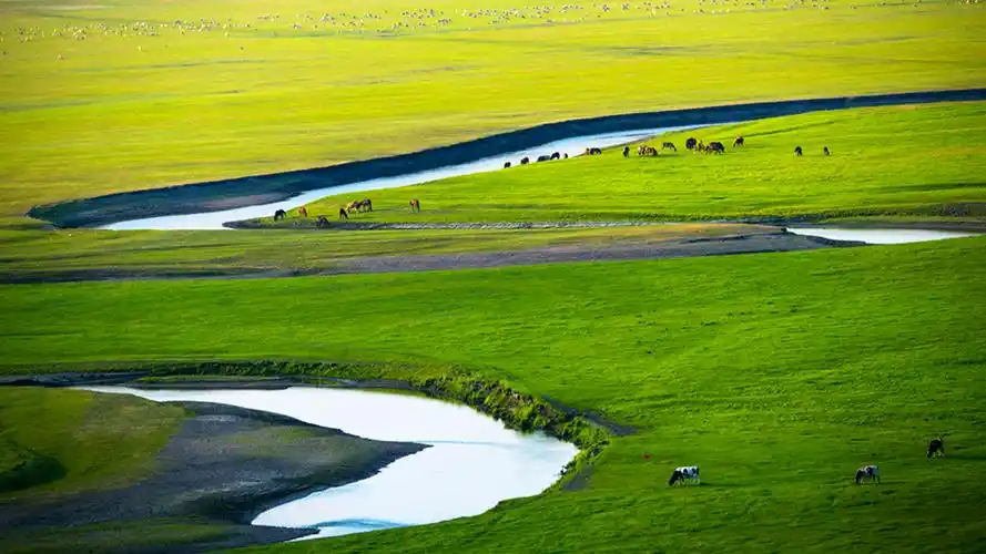 呼伦贝尔大草原唯美风景图片桌面壁纸,一望无际的呼伦贝尔大草原,苍茫