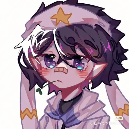 雷大猫猫生日快乐