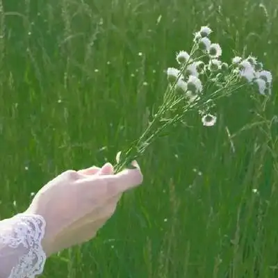 女生绿色头像清新森系2021绿色系小仙女头像