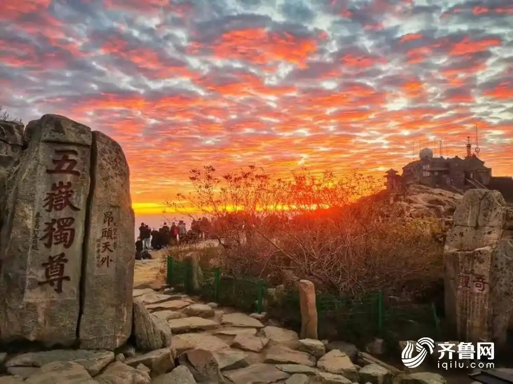 组图绚烂日出迷人眼今日份泰山霞光满天