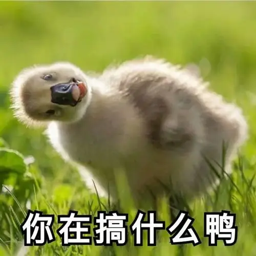 一个人也要坚强鸭 - 搞笑配字qq表情图片大全