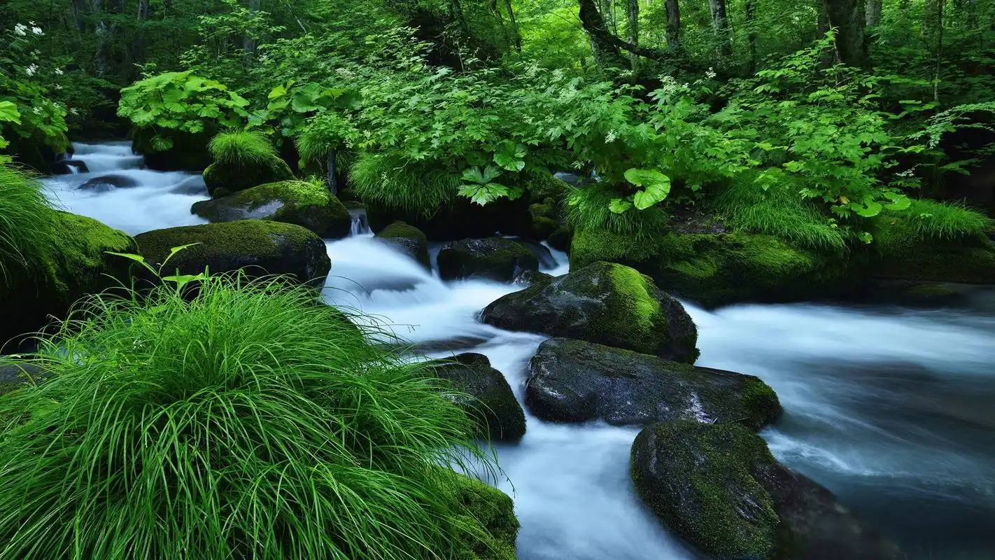 首页 桌面壁纸 风景壁纸 绿色清新山间溪流图片高清宽屏桌面壁纸 1920