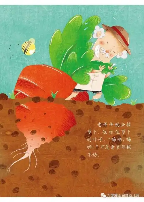 【万婴麓山润城幼儿园】绘本小屋|第十一期之《拔萝卜》