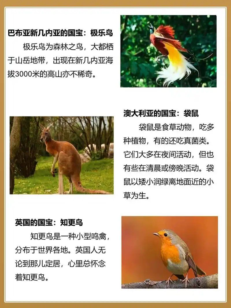 世界各国国宝动物大集合7575你最中意哪个?