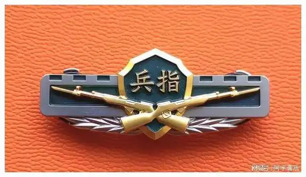 毛启国漫谈武警部队废止的22种16式胸标