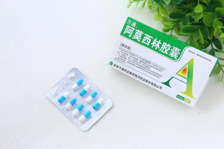 阿莫西林分散片有什么功效阿莫西林分散片功效主治什么