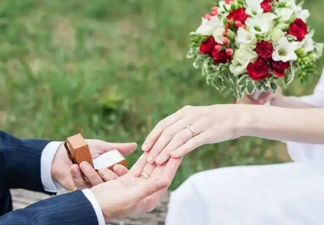 双十一求婚记,特一双11完美脱单攻略