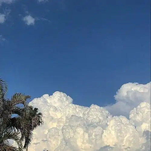 有什么看起来很舒服高级的微信背景图