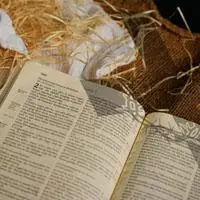 书本头像,适合做头像的书本图片-唯美头像