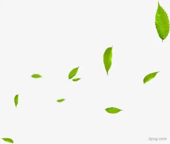 春季清新阳光漂浮树叶png素材透明免抠图片-装饰效果