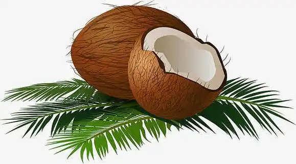 卡通椰子装饰图案