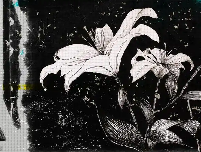 【《fancy flowers》-吕心怡-版画-2020年作】青岛大学美术学院毕业