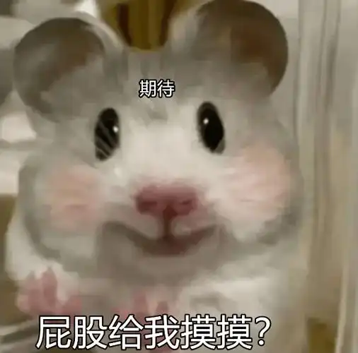 调戏对象的表情包:你有3分钟吗?