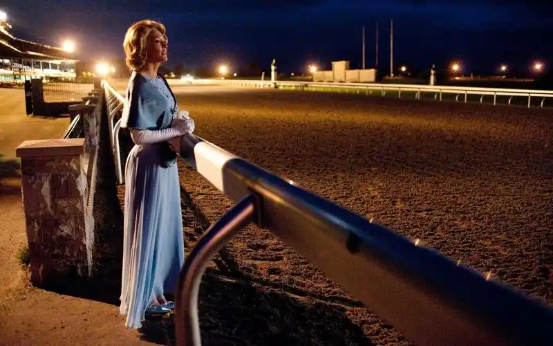 secretariat 一代骄马 高清壁纸(一)16 - 1440x900