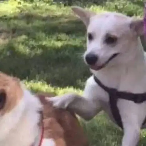 今日份搞笑沙雕情头_腾讯新闻