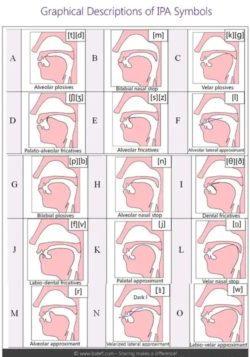 英语语音图解_发音