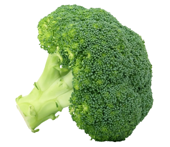 新鲜诱人的蔬菜西兰花图片