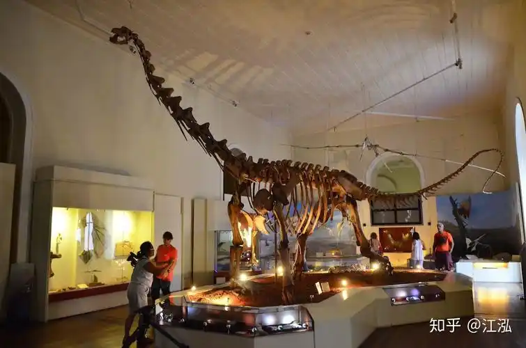 巴西是南美洲著名的古生物化石产地,以中生代的恐龙和翼龙最具代表性