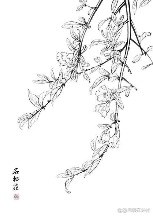 石榴花