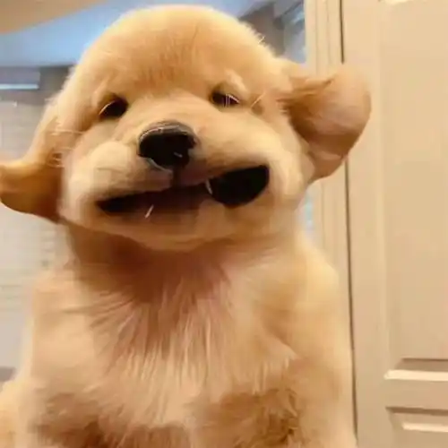 搞怪头像##个性搞怪头像##沙雕搞怪头像