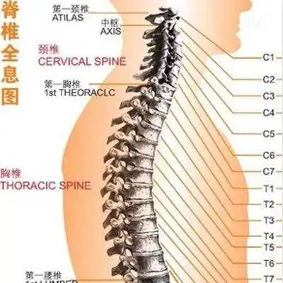 我们为什么会有颈椎酸痛或不适_keep