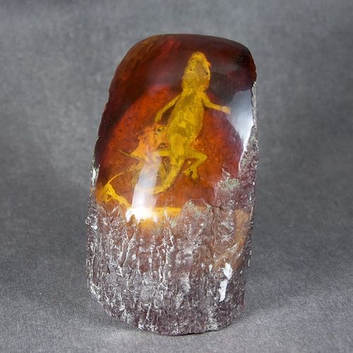 尊首大号人造琥珀壁虎标本树脂工艺品 真昆虫动物原石化石虫珀摆件