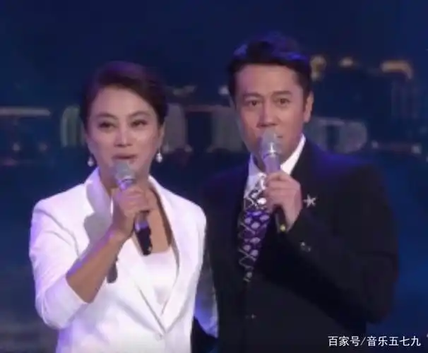 李玲玉蔡国庆合唱的经典歌曲《当我想你的时候》