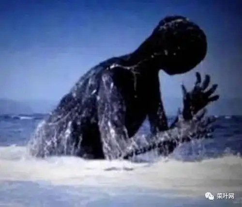 尼斯湖水怪这种东西一直以来都只有几张模糊不清的照片,奇怪之处在于