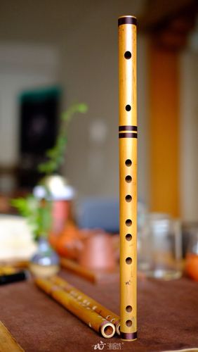 笛子涤心童心短笛便携练习其它民族乐器