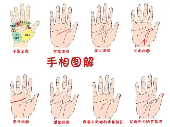 吉达阁首页 女人面相 算命大全 女生手相算命图解 >> 女孩手相算命