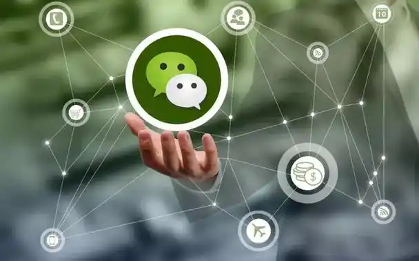 想用此干掉微信?网友:中看不中用