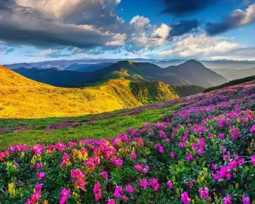 2018年告别霉运,转运富贵的3大生肖