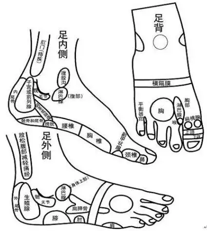 脚背反射区图