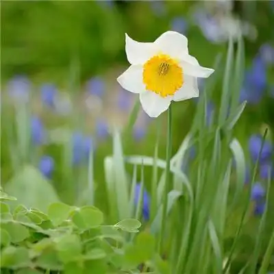 2021微信头像唯美清新图片意境 想和你一起度过的夜晚