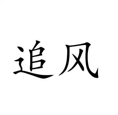 追风 商标公告